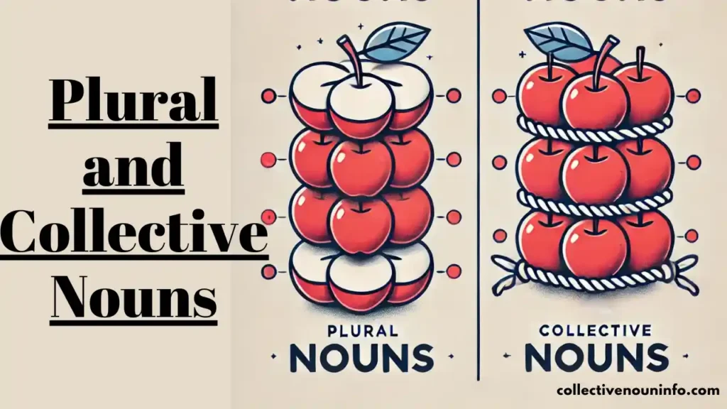 Difference Between Plural and Collective Nouns